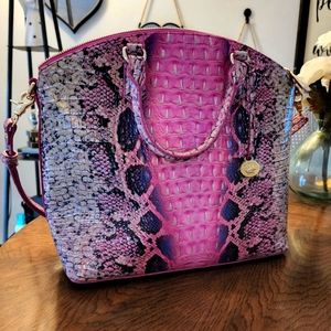 Pink Cobra Brahmin Duxbury